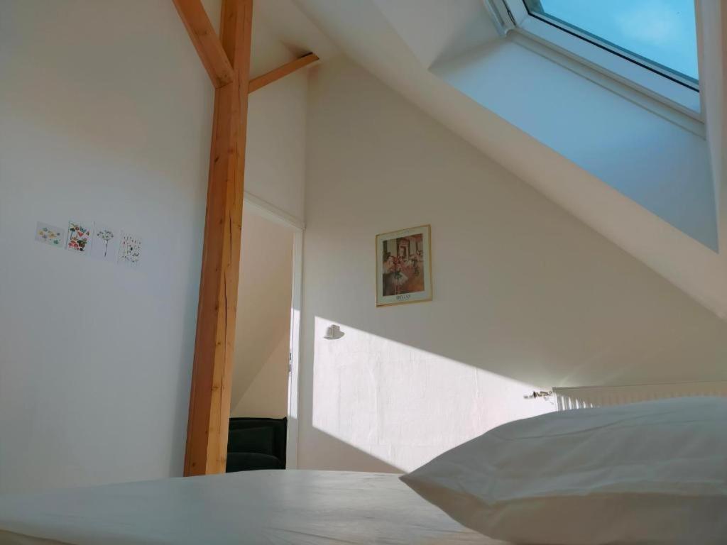 Gite des 3 cigognes Colmar Extérieur photo