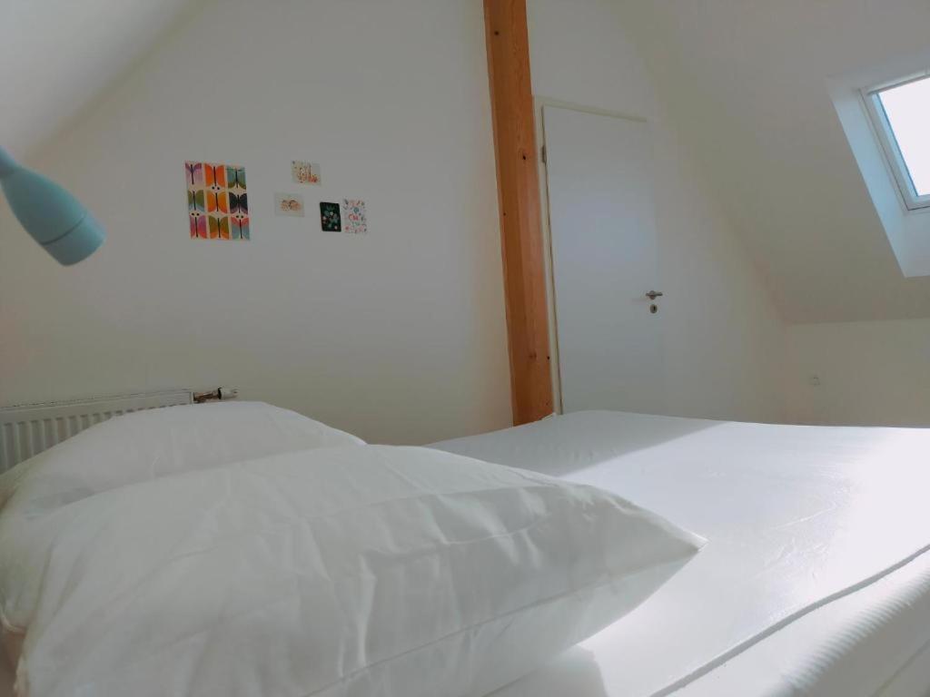 Gite des 3 cigognes Colmar Extérieur photo