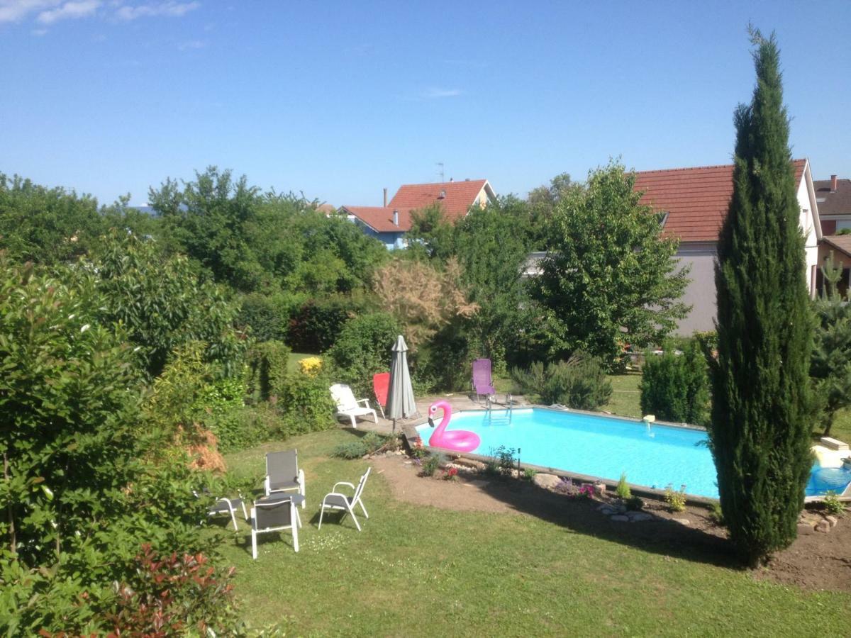 Gite des 3 cigognes Colmar Extérieur photo